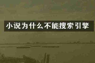 小说为什么不能搜索引擎