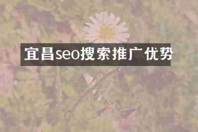 宜昌seo搜索推广优势