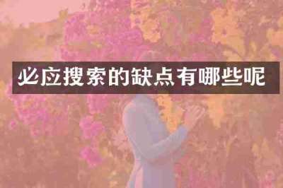 必应搜索的缺点有哪些呢