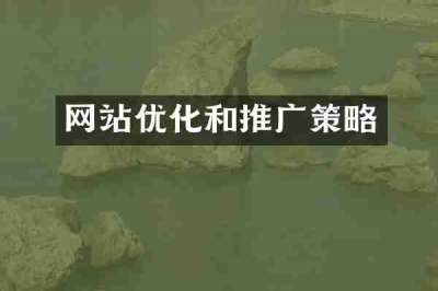 网站优化和推广策略