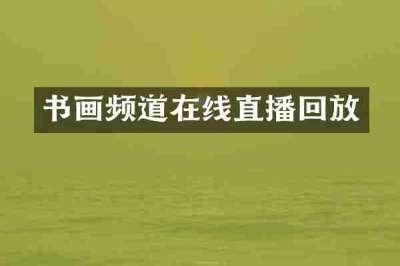 书画频道在线直播回放