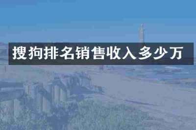 搜狗排名销售收入多少万