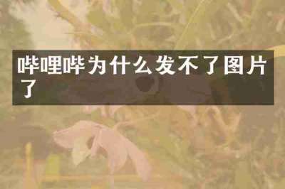 哔哩哔为什么发不了图片了