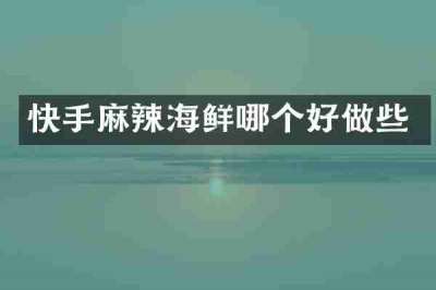 快手麻辣海鲜哪个好做些