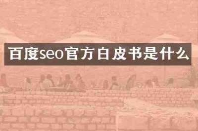 百度seo官方白皮书是什么