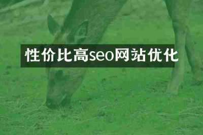 性价比高seo网站优化