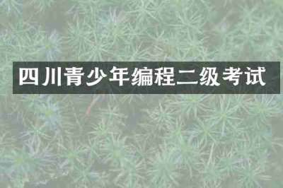 四川青少年编程二级考试