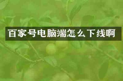 百家号电脑端怎么下线啊