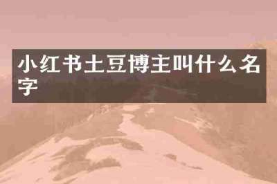 小红书土豆博主叫什么名字