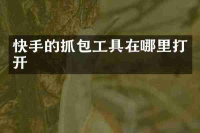 快手的抓包工具在哪里打开