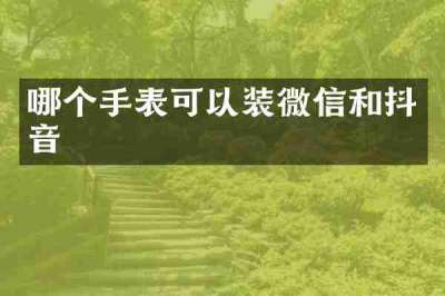 哪个手表可以装微信和抖音
