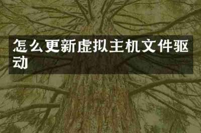 怎么更新虚拟主机文件驱动