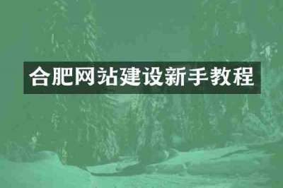 合肥网站建设新手教程