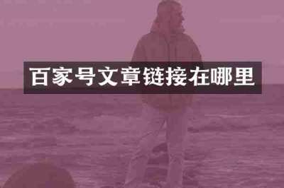 百家号文章链接在哪里
