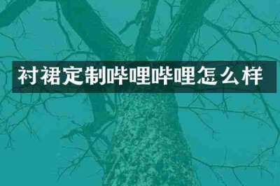 衬裙定制哔哩哔哩怎么样