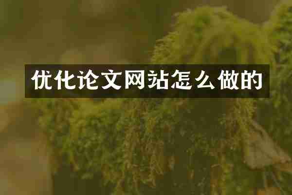 优化论文网站怎么做的