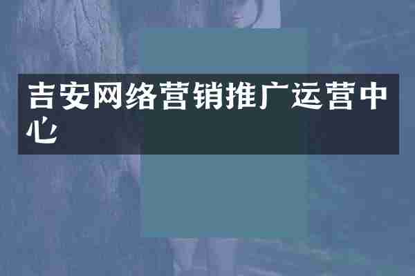 吉安网络营销推广运营中心