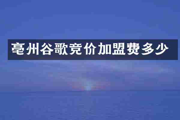 亳州谷歌竞价加盟费多少