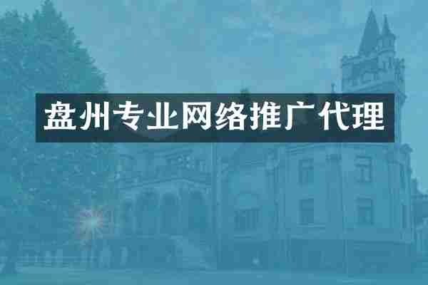 盘州专业网络推广代理
