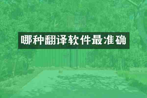 哪种翻译软件最准确