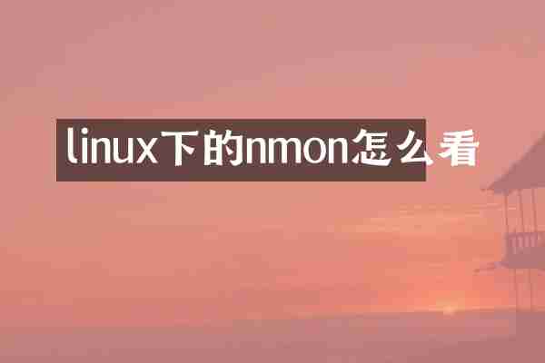 linux下的nmon怎么看