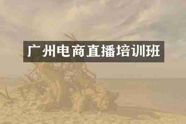 广州电商直播培训班