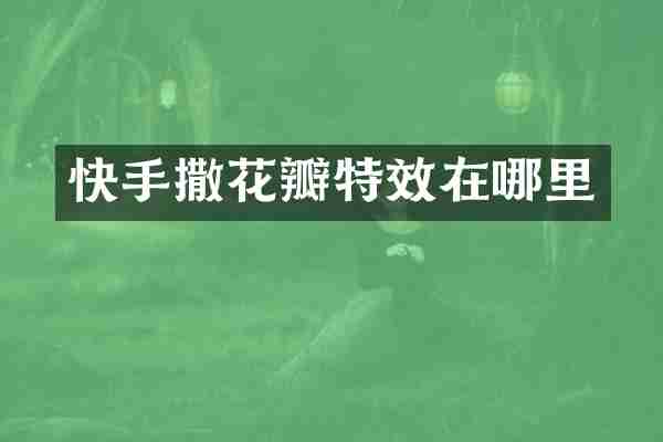 快手撒花瓣特效在哪里
