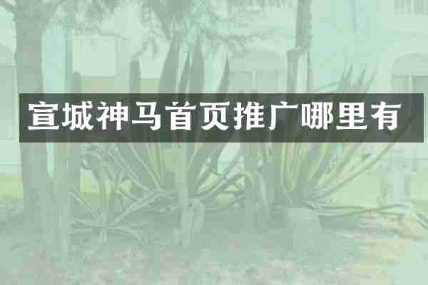 宣城神马首页推广哪里有