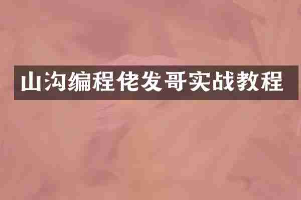 山沟编程佬发哥实战教程