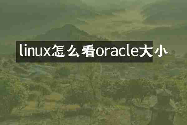 linux怎么看oracle大小