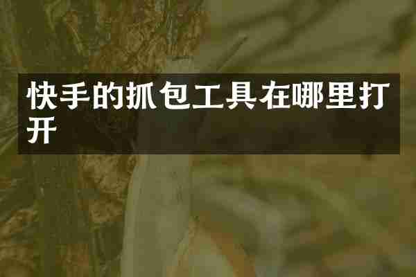快手的抓包工具在哪里打开