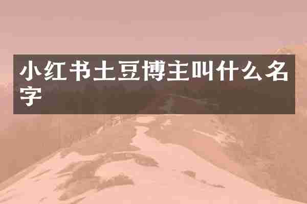 小红书土豆博主叫什么名字
