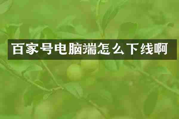 百家号电脑端怎么下线啊