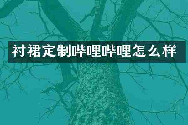 衬裙定制哔哩哔哩怎么样