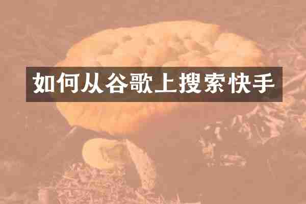 如何从谷歌上搜索快手