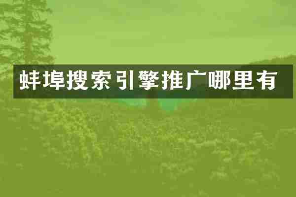 蚌埠搜索引擎推广哪里有