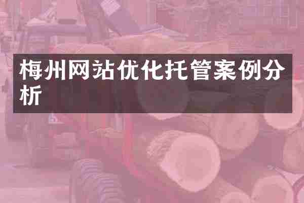 梅州网站优化托管案例分析