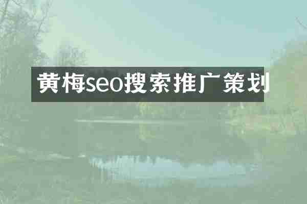 黄梅seo搜索推广策划