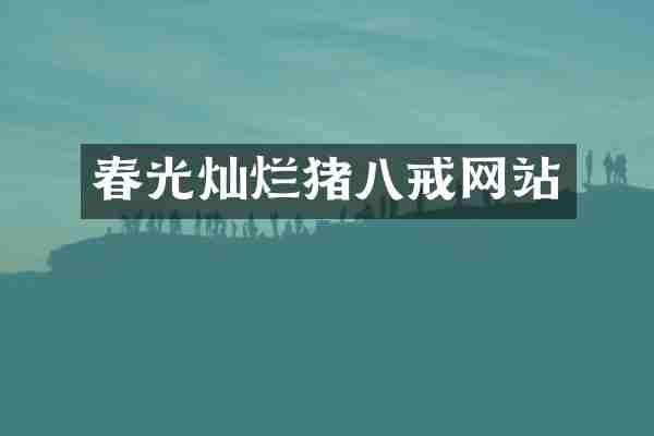 春光灿烂猪八戒网站
