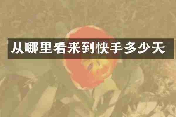 从哪里看来到快手多少天