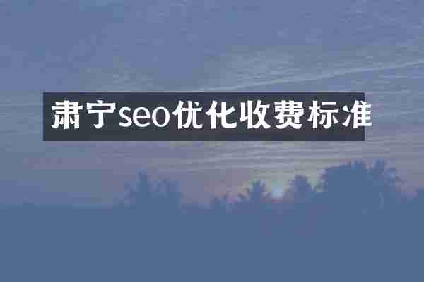 肃宁seo优化收费标准