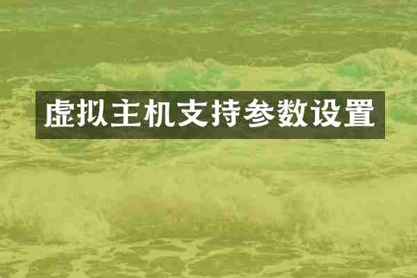虚拟主机支持参数设置