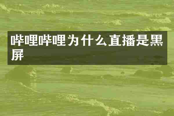 哔哩哔哩为什么直播是黑屏