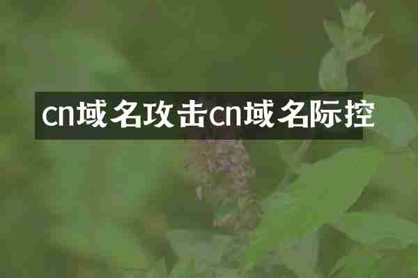 cn域名攻击cn域名际控