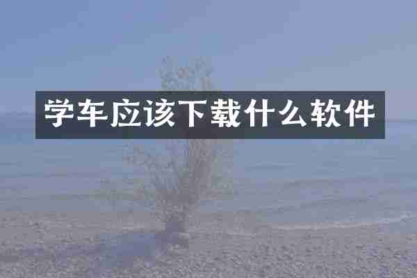 学车应该下载什么软件