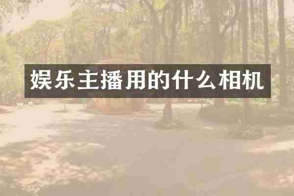 娱乐主播用的什么相机