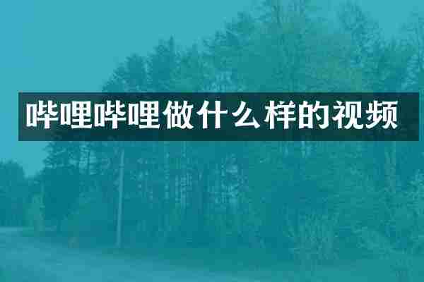 哔哩哔哩做什么样的视频