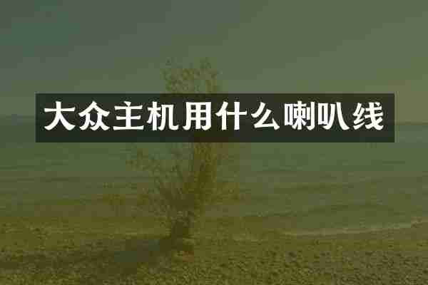 大众主机用什么喇叭线
