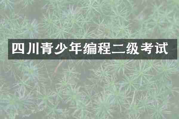 四川青少年编程二级考试