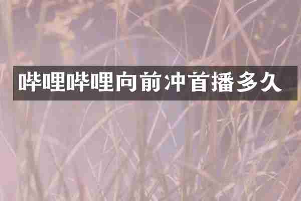 哔哩哔哩向前冲首播多久